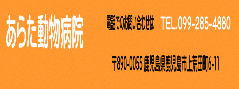 あらた動物病院